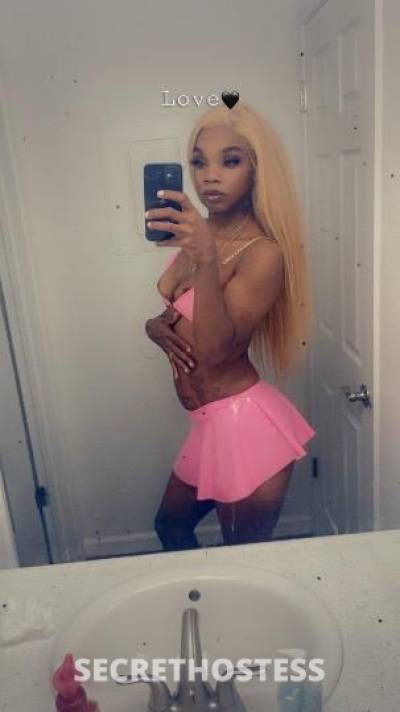 Jasmine 26Yrs Old Escort Monterey CA Image - 1