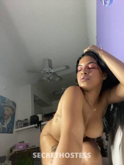 Mia 25Yrs Old Escort New Haven CT Image - 1
