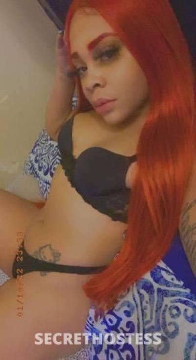 Rose 24Yrs Old Escort North Jersey NJ Image - 2