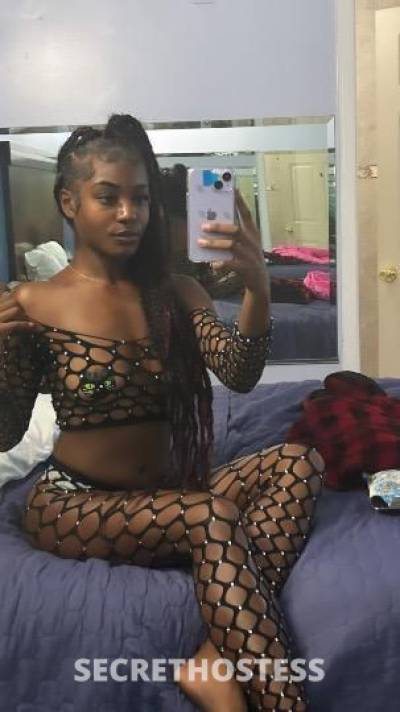 STARR 21Yrs Old Escort Los Angeles CA Image - 0