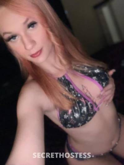 Skyy 19Yrs Old Escort San Buenaventura CA Image - 6