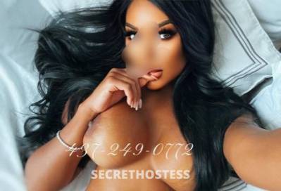 SophiaHunny 25Yrs Old Escort Toronto Image - 4