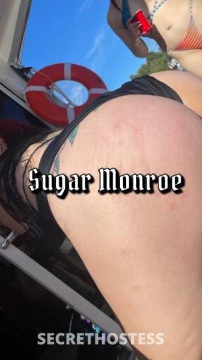 SugarMonroe 37Yrs Old Escort San Diego CA Image - 1