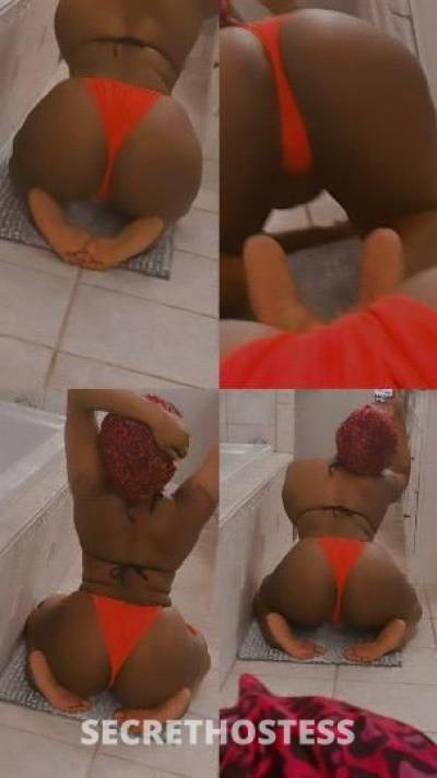 Cookie 20Yrs Old Escort Jacksonville FL Image - 1