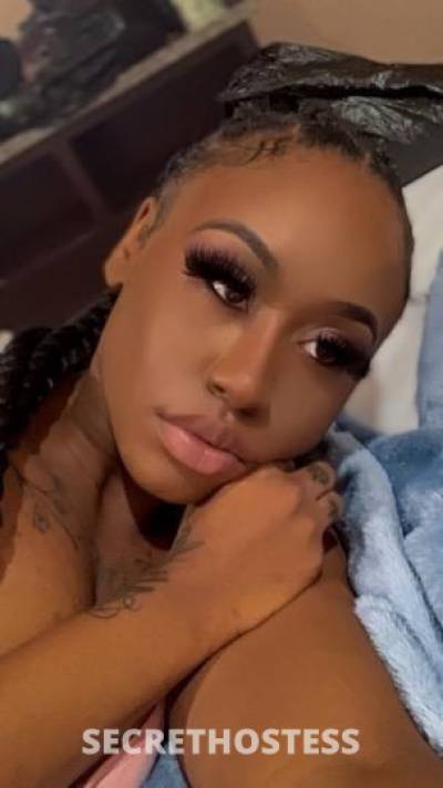 Imani 26Yrs Old Escort Springfield IL Image - 1
