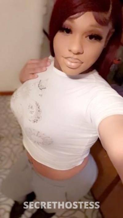 K 24Yrs Old Escort 172CM Tall Long Island NY Image - 3