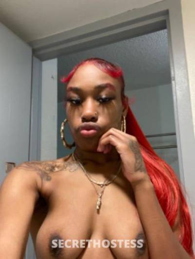 Mercedez 19Yrs Old Escort Little Rock AR Image - 4