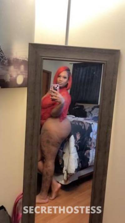 Miss.Snatcher 33Yrs Old Escort Jacksonville FL Image - 2