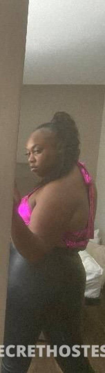 Rocky 21Yrs Old Escort Saint Louis MO Image - 2