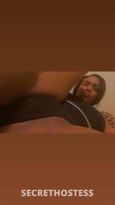 SISTASISTA 25Yrs Old Escort Daytona FL Image - 2