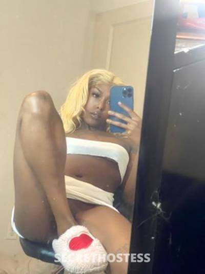 24 year old Escort in Atlanta GA 100 SPECIAL below? near mall of georgia