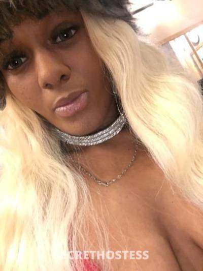 Sparkle 23Yrs Old Escort Bloomington IL Image - 1