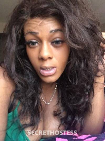 Sparkle 23Yrs Old Escort Bloomington IL Image - 4