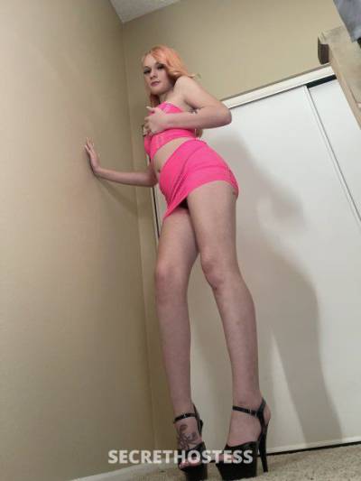 21Yrs Old Escort 170CM Tall San Fernando Valley CA Image - 3