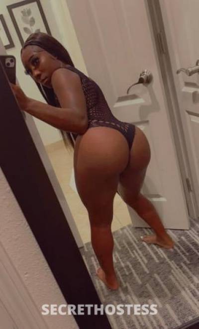 24Yrs Old Escort Dallas TX Image - 1