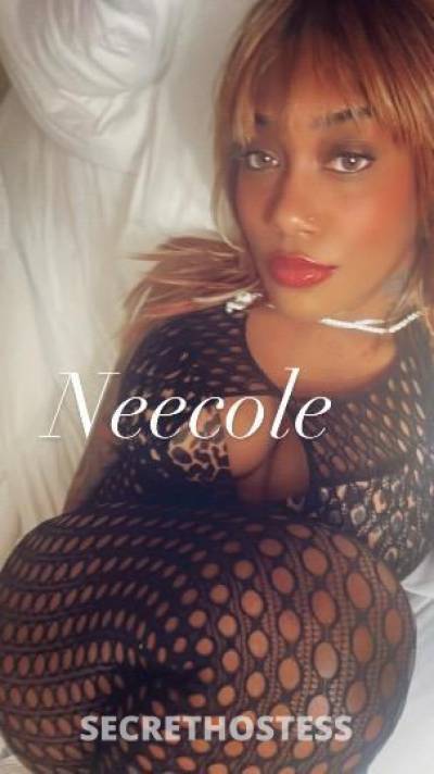 28Yrs Old Escort Norfolk VA Image - 1