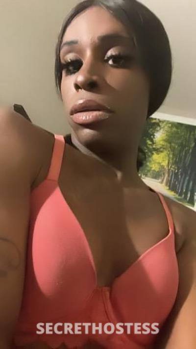 32Yrs Old Escort Cleveland OH Image - 1