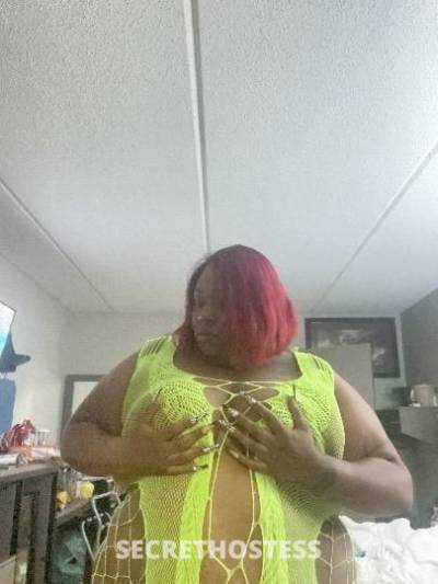 Aquila 30Yrs Old Escort Columbia SC Image - 4