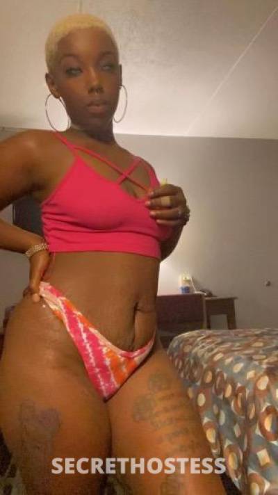 Bunnyyy 23Yrs Old Escort Myrtle Beach SC Image - 1