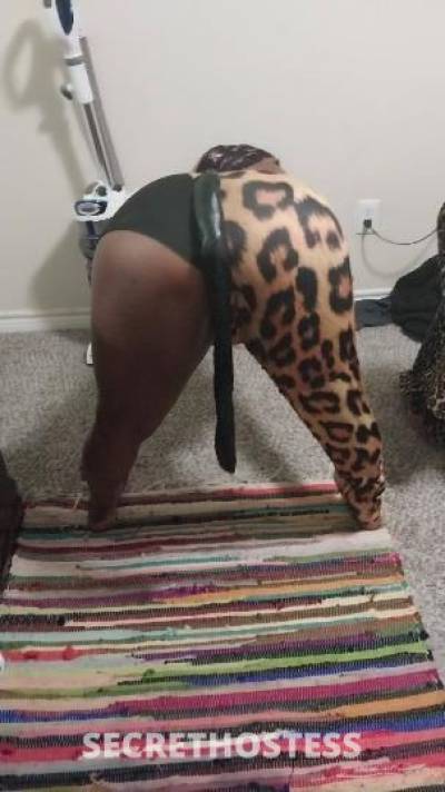 Candy 27Yrs Old Escort Fort Worth TX Image - 2