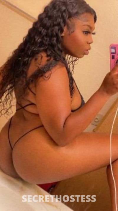 CinnCity 25Yrs Old Escort Dallas TX Image - 5