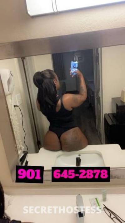 Sycamore view no young niggas period incalls only qv80 in Memphis TN