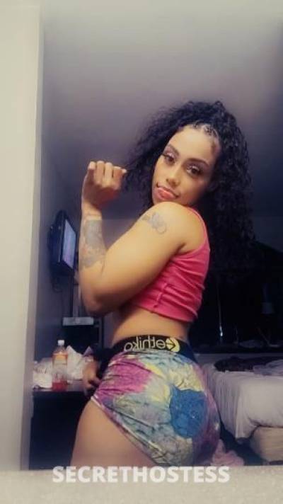 Tia 22Yrs Old Escort Dallas TX Image - 1