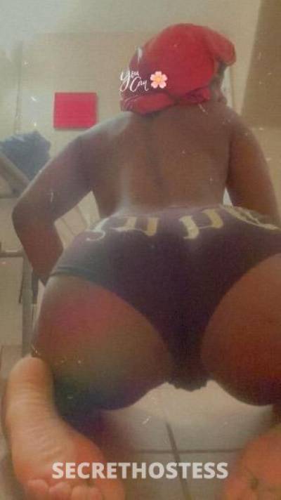 21Yrs Old Escort Houston TX Image - 1