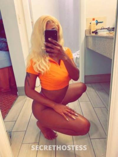 Alexis💦💞 30Yrs Old Escort Treasure Coast FL Image - 3