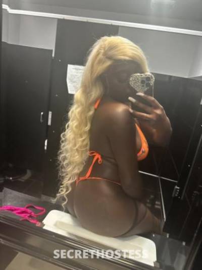 Bianca 25Yrs Old Escort Phoenix AZ Image - 1