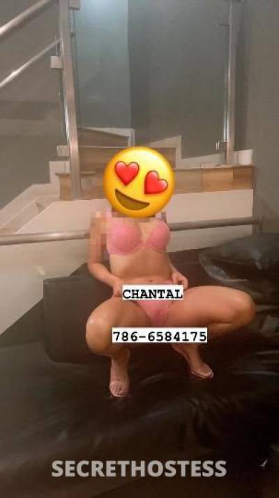 CHANTAL 30Yrs Old Escort Miami FL Image - 0