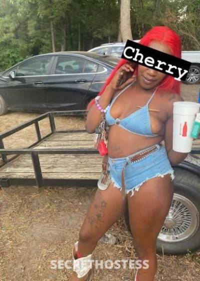 INCALL NATCHITOCHES📍Serious Inquires ONLY‼ Lets Meet Up in Alexandria LA
