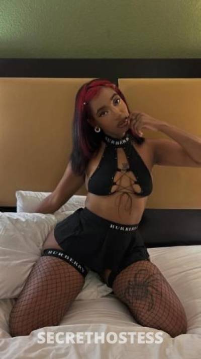 Cupcake 26Yrs Old Escort Baltimore DC Image - 5