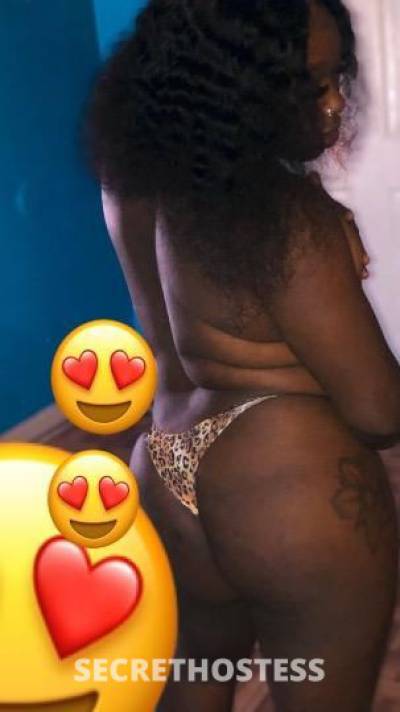 Detroit 21Yrs Old Escort Central Michigan MI Image - 0