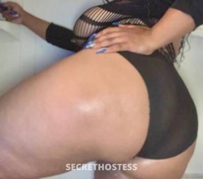 Honey🍯 28Yrs Old Escort Chico CA Image - 0