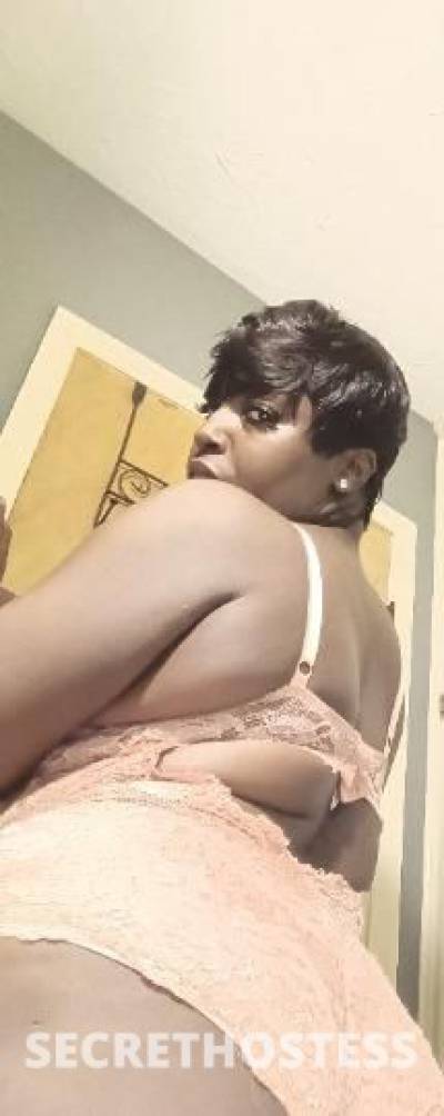 Honey 31Yrs Old Escort North Mississippi MS Image - 0