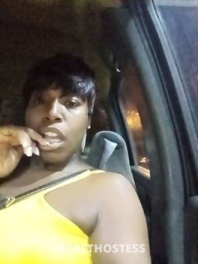 Honey 31Yrs Old Escort North Mississippi MS Image - 1