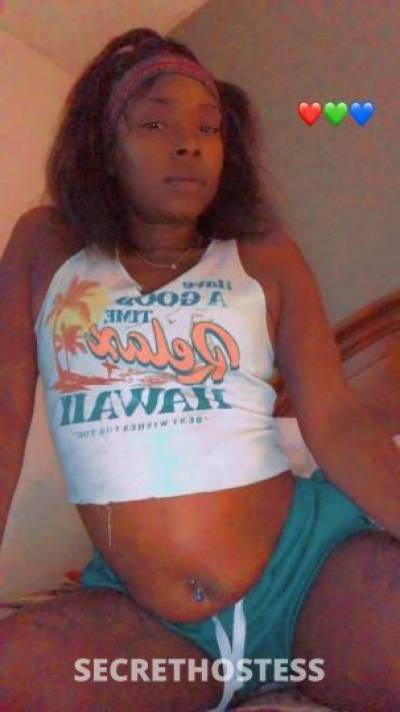 KAM 26Yrs Old Escort Tampa FL Image - 2