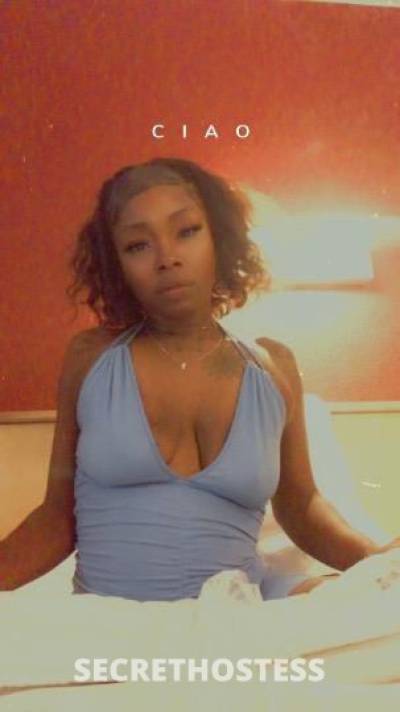 KAM 26Yrs Old Escort Tampa FL Image - 3