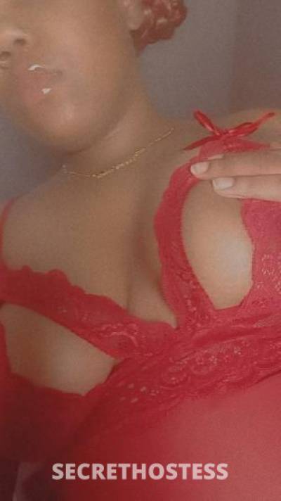 Kira 22Yrs Old Escort Concord CA Image - 0