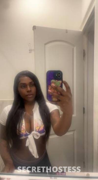 Kourtney 26Yrs Old Escort Long Island NY Image - 2