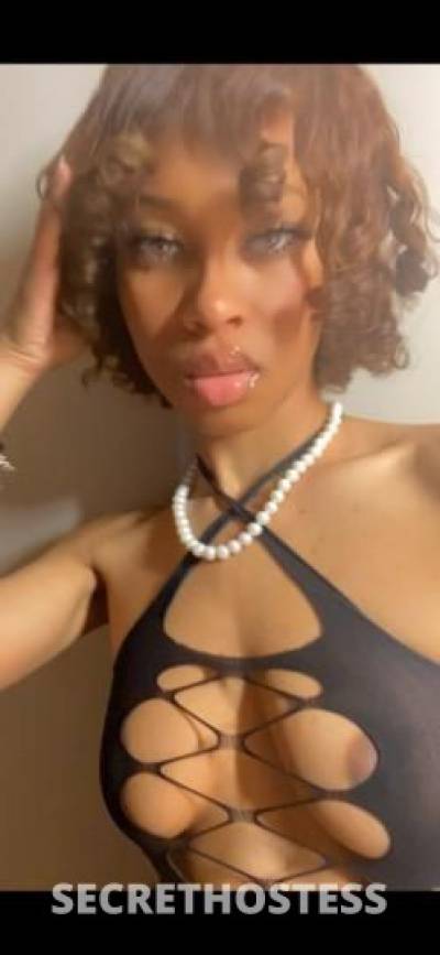 MsCattleya 22Yrs Old Escort Chicago IL Image - 0