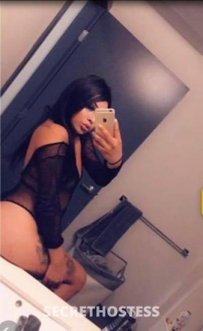 Nikki 22Yrs Old Escort Monterey CA Image - 3