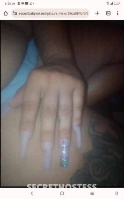 Roxi 26Yrs Old Escort Daytona FL Image - 7