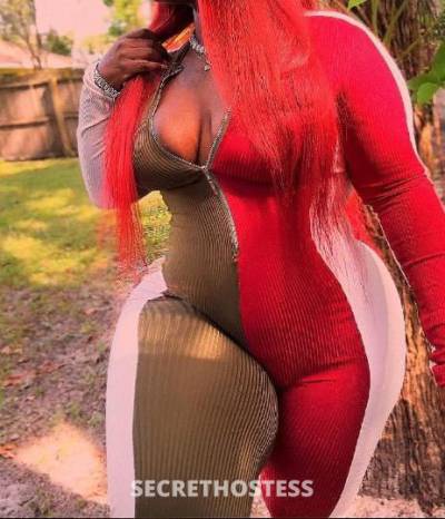 Saila 27Yrs Old Escort Daytona FL Image - 0