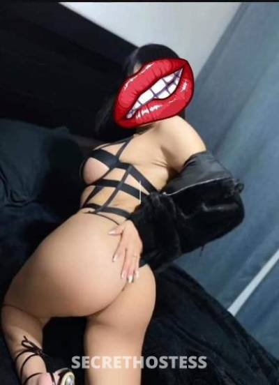 Scarlet 26Yrs Old Escort Miami FL Image - 3