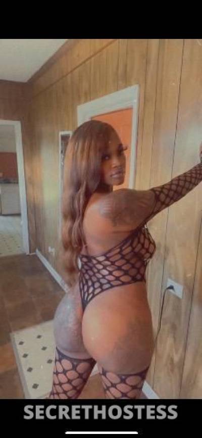 Shanell 23Yrs Old Escort Albany GA Image - 2