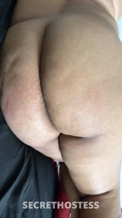 BigBooty Stacy Here to give you EVERYTHING you DESIRE..  in Denver CO