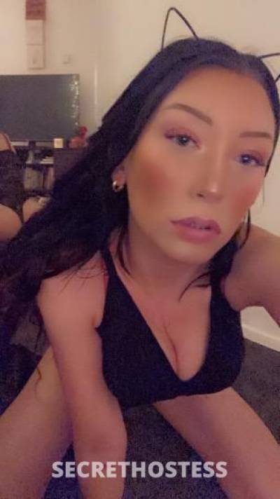 Venus 23Yrs Old Escort Monterey CA Image - 0