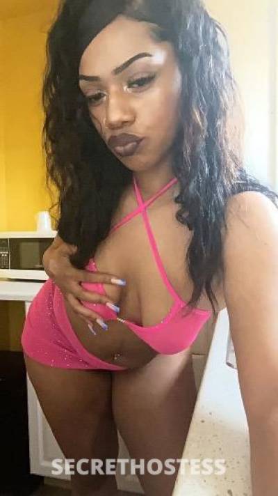 💦✨Miraccle✨💦 21Yrs Old Escort Tacoma WA Image - 3